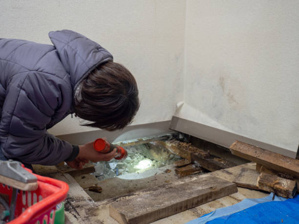 Best Post-Remediation Verification Testing  in Honeoye Falls, NY