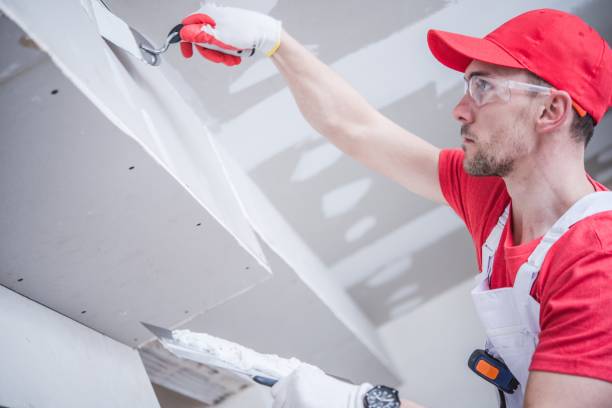 Best Mold Documentation for Insurance Claims  in Honeoye Falls, NY