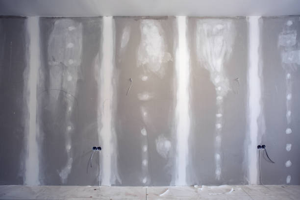 Best Emergency Mold Remediation  in Honeoye Falls, NY